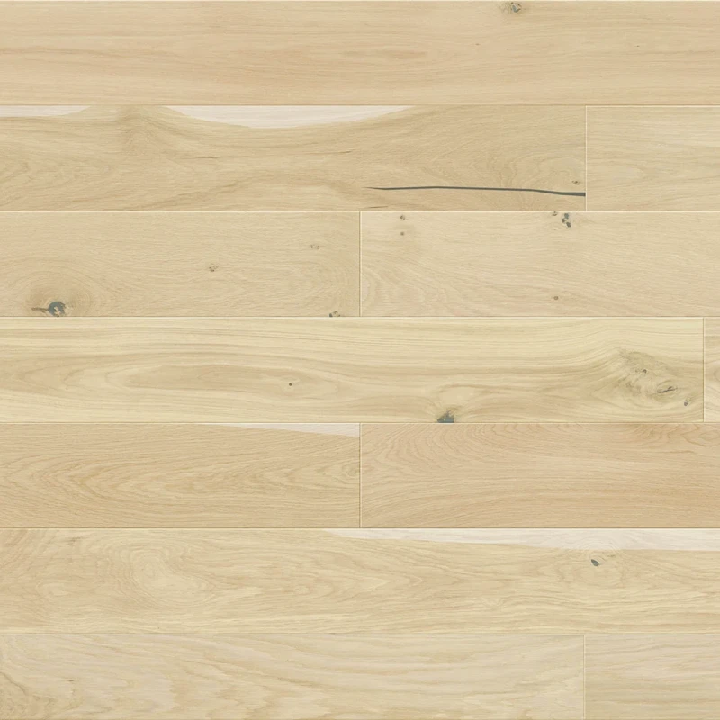 Stejar Mont Blanc Medio photo2